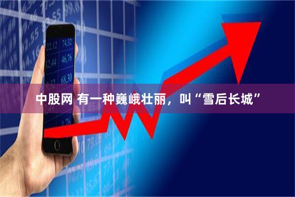 中股网 有一种巍峨壮丽，叫“雪后长城”