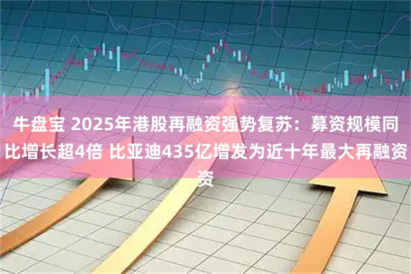 牛盘宝 2025年港股再融资强势复苏：募资规模同比增长超4倍 比亚迪435亿增发为近十年最大再融资