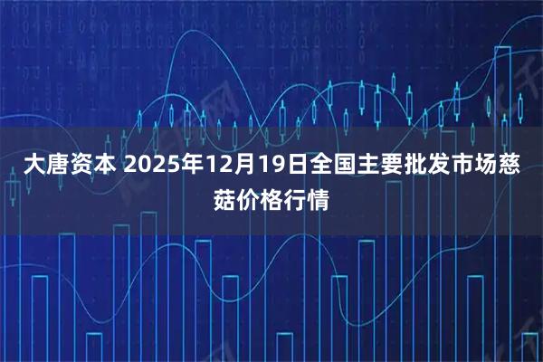 大唐资本 2025年12月19日全国主要批发市场慈菇价格行情